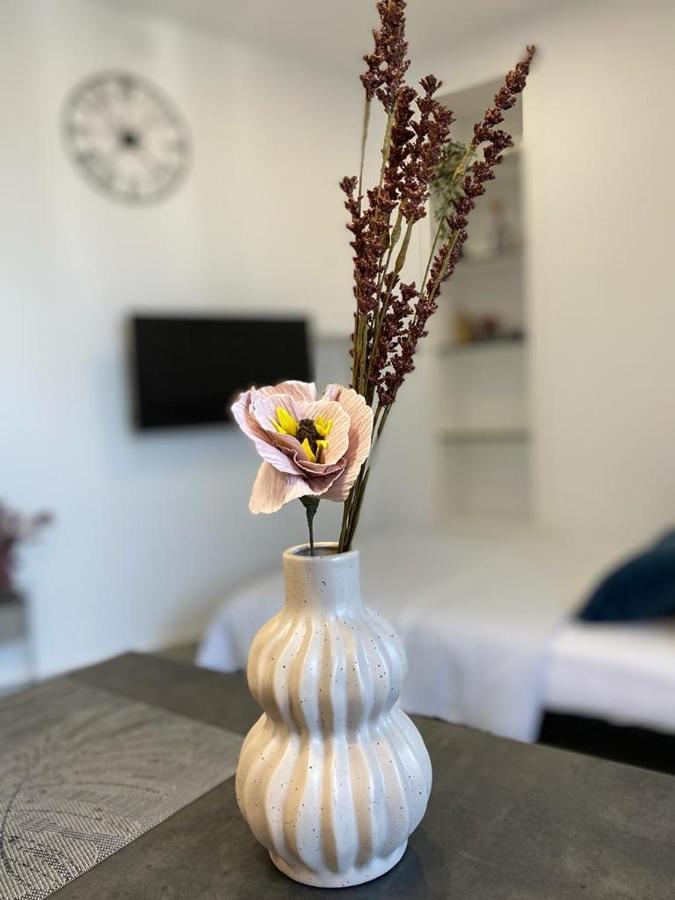 Vibes Apartman